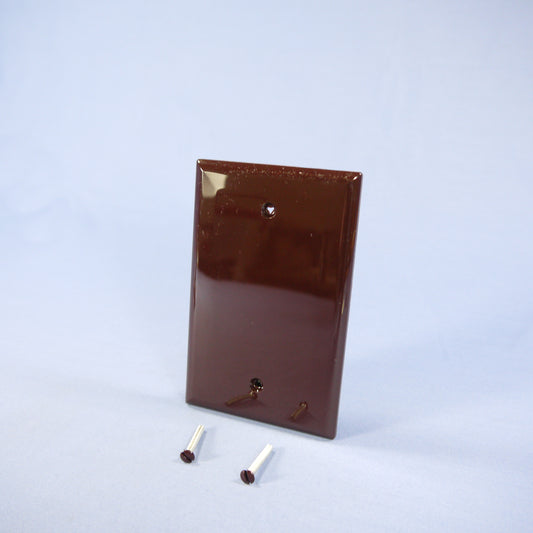 Cooper PJ13B Brown 1-Gang Blank Unbreakable Midsize Wallplate Box Mount 2pcs