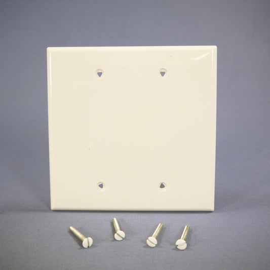 Cooper PJ23W White MidSize 2Gang Blank Nylon Unbreakable Wallplate Covers 2-Pack