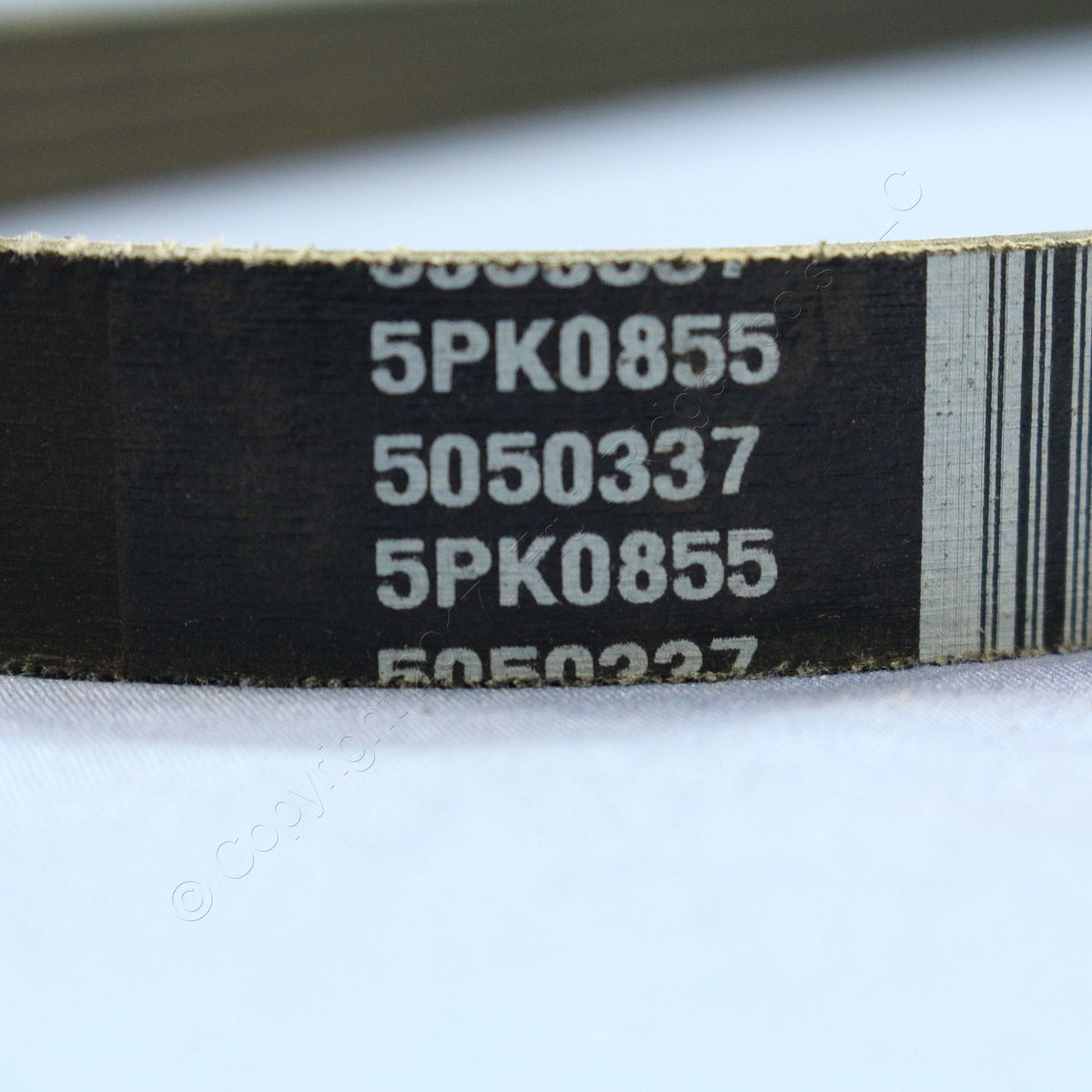 Dayco 5050337 5PK0855 Serpentine Drive Belt for 1993-98 Villager 1992-94 Maxima