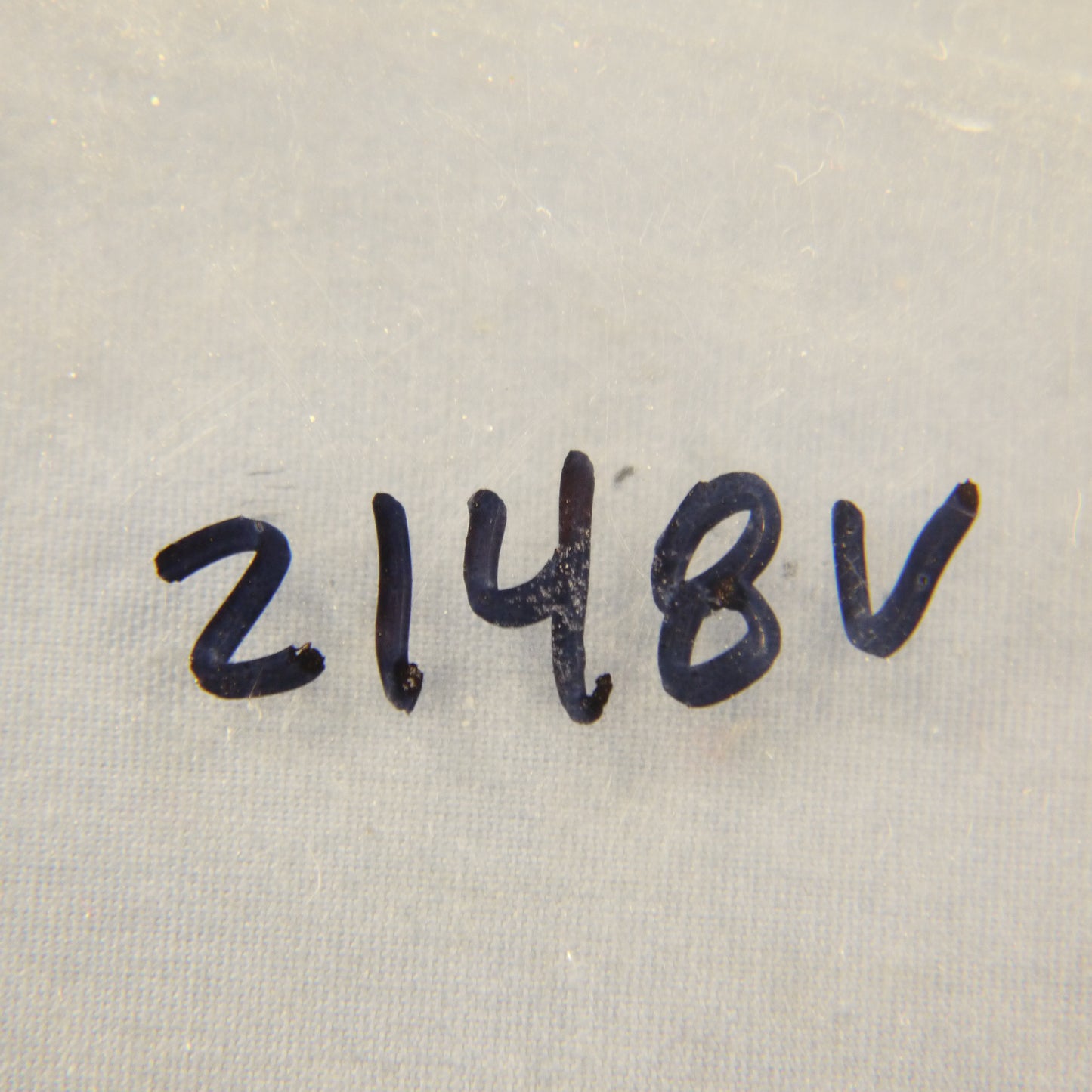 Eagle 2148V Ivory 2-Gang Toggle Duplex Outlet Plastic Oversize Wallplate Cover
