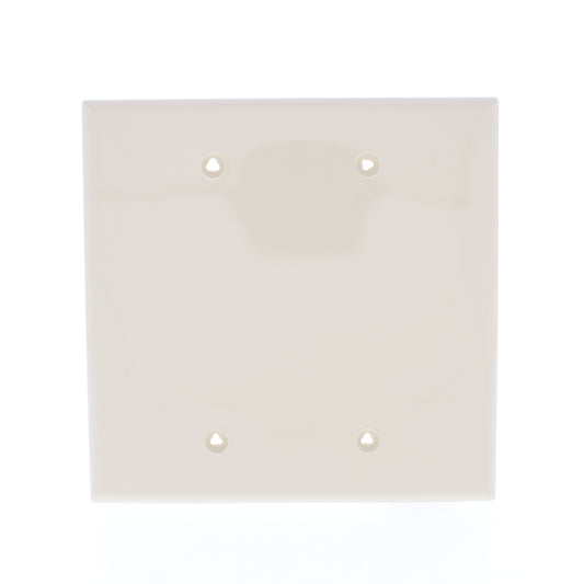 Eaton PJ23V Ivory 2-Gang Unbreakable Mid-size 2-Gang Blank Nylon Wallplate Cover