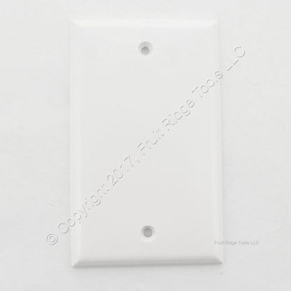 ACE 32472 White 1-Gang Blank Plastic Standard Wallplate Cover Plate Box Mount