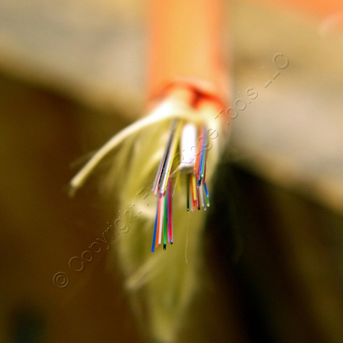 8130' AFL 48-FibMM Sub-Unitized MicroCore2.0 Fiber Optic Cable 50/125�m NFPA 262