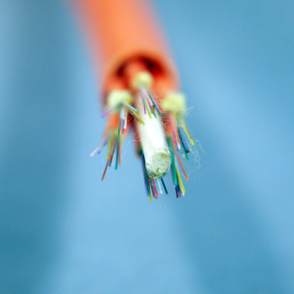 232-Feet Berk-Tek GIGAlite 72-Fiber Adventum Multi-Mode Plenum Fiber Optic Cable