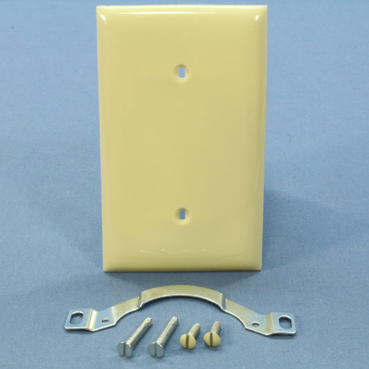 Bryant Ivory 1-Gang Blank Unbreakable Wall Plate Box Mount Nylon Cover N2121