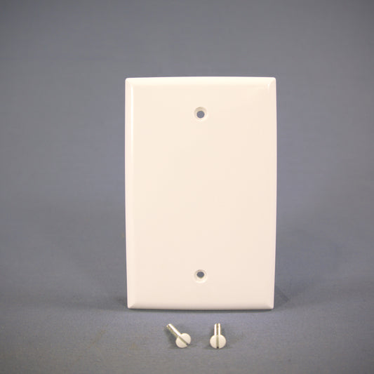 Cooper 2029W White 1-Gang Standard Blank Thermoset Wallplate Mid-Size Cover