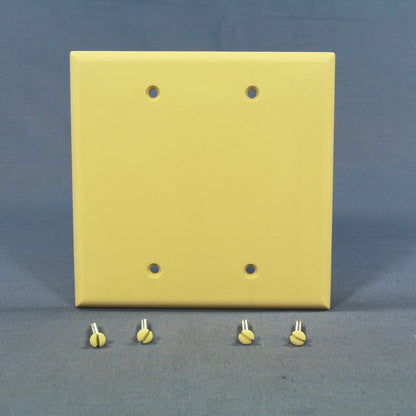 Cooper 2037V Ivory 2-Gang Blank Mid-Size Thermoset Wallplate Cover Box Mount