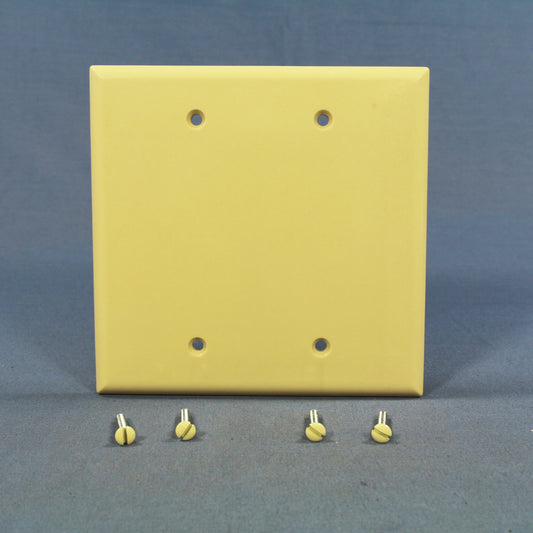 Cooper 2037V Ivory 2-Gang Blank Mid-Size Thermoset Wallplate Cover Box Mount