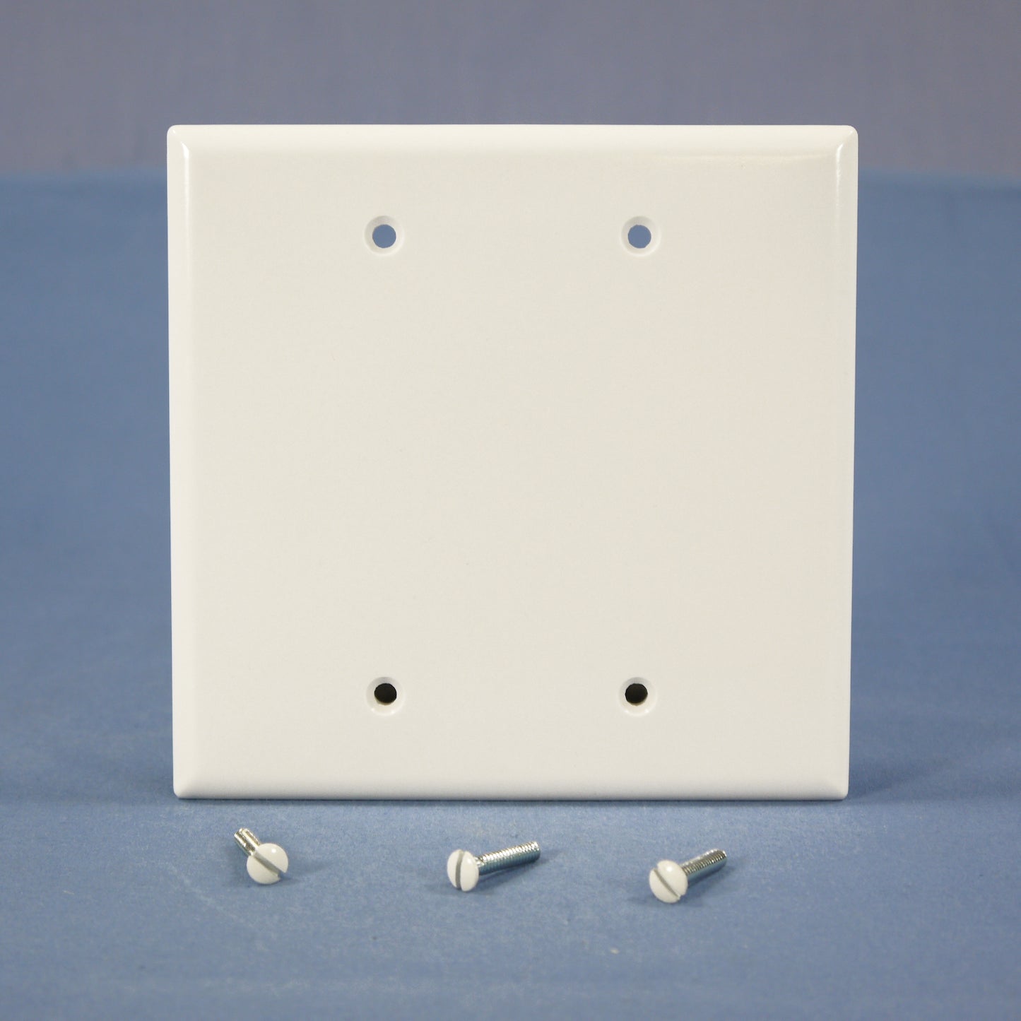 Cooper 2037W White 2-Gang Blank Thermoset Wallplate Mid-Size Cover Box Mount
