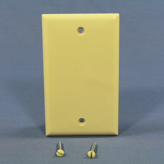 Cooper 2129V Ivory 1-Gang Standard Blank Cover Box Mounted Thermoset Wallplate