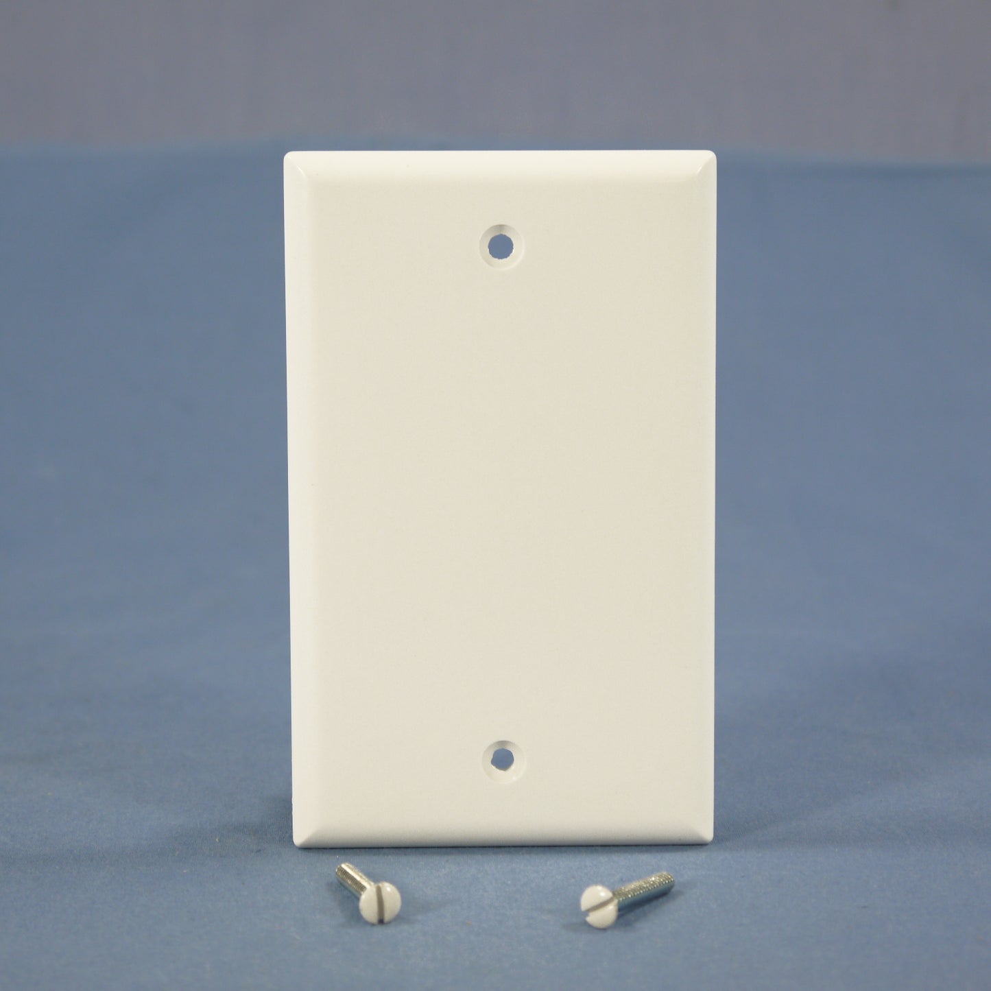 Cooper 2129W White 1-Gang Standard Blank Cover Box Mounted Thermoset Wallplate
