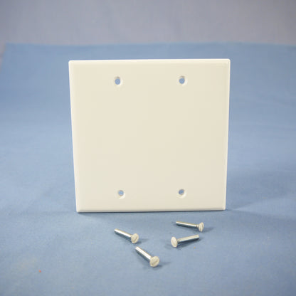Cooper 2137W White 2-Gang Blank Thermoset Wallplate Box Mount Standard Cover