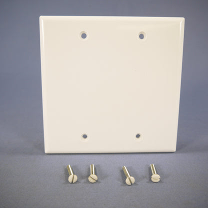 Cooper 2137W White Blank Cover 2-Gang Plastic Cover Wallplates Box Mount 2-Pack