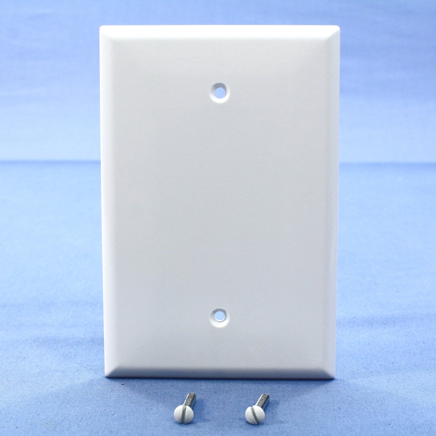 Cooper 2729W White 1-Gang Box Mount Blank Thermoset Wallplate Oversize Cover