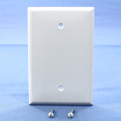 Cooper 2729W White 1-Gang Box Mount Blank Thermoset Wallplate Oversize Cover