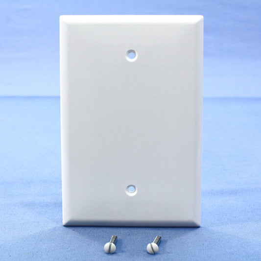 Cooper 2729W White 1-Gang Box Mount Blank Thermoset Wallplate Oversize Cover
