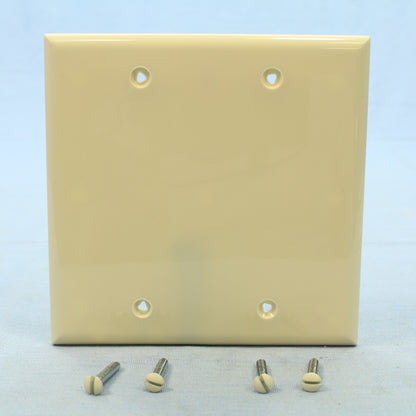 Cooper 5137LA Light Almond 2-Gang Blank Box Mount Standard Nylon Wallplate Cover