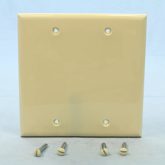 Cooper 5137LA Light Almond 2-Gang Blank Box Mount Standard Nylon Wallplate Cover