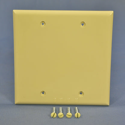 Cooper 5137V Ivory 2-Gang Blank Unbreakable Nylon Wallplate Cover Box Mount