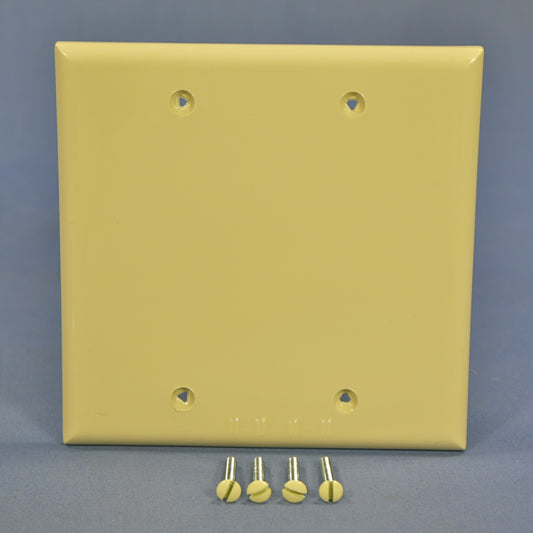 Cooper 5137V Ivory 2-Gang Blank Unbreakable Nylon Wallplate Cover Box Mount