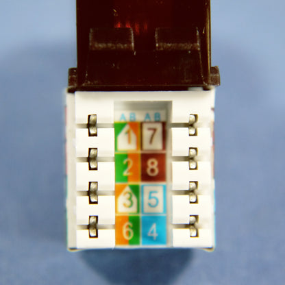 Cooper 5547-5EB Brown Cat5e Snap-In Modular Data Jack 110 Style 8-Position RJ45