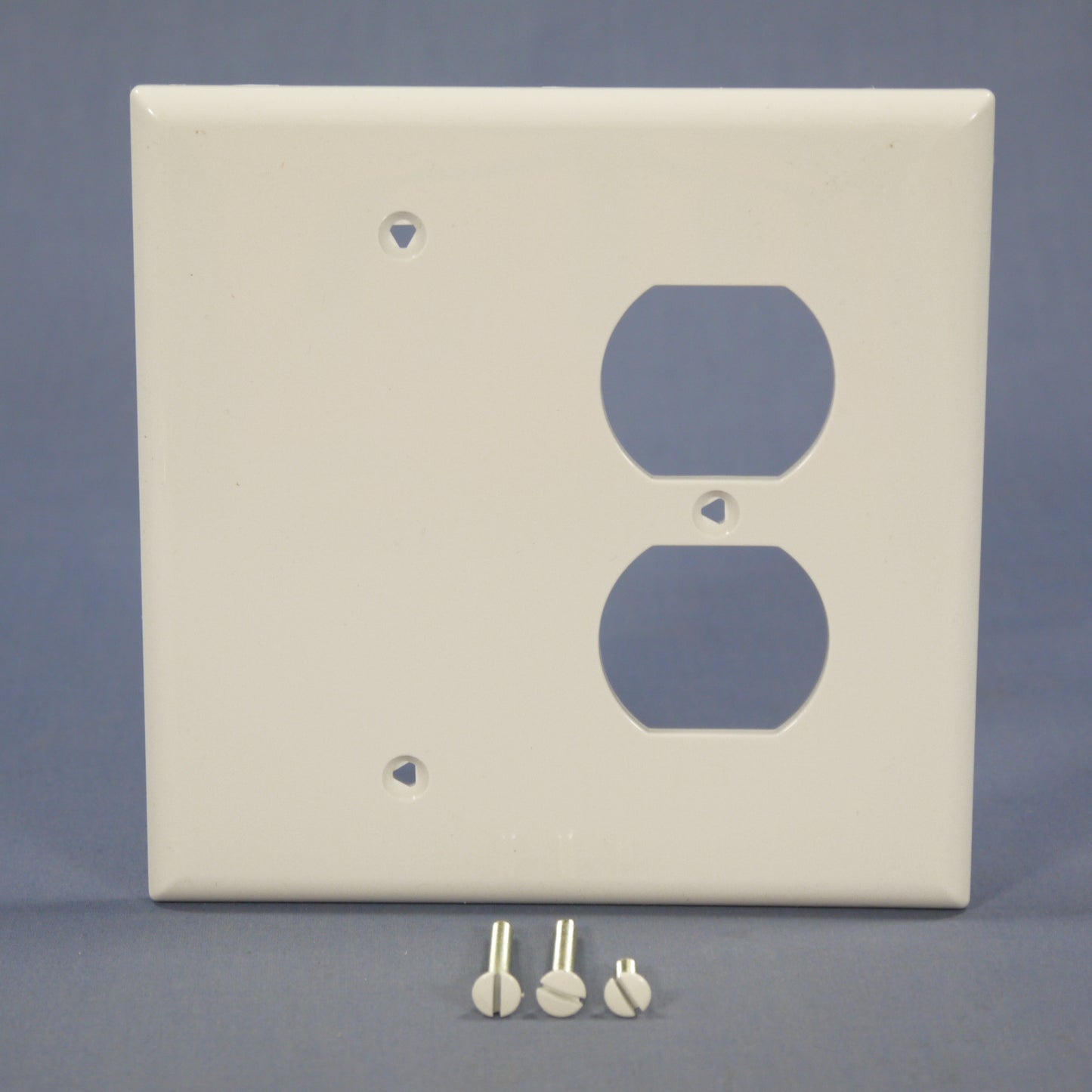 Cooper PJ138W White 2-Gang Duplex Blank Unbreakable Mid-Size Wallplate Box Mount