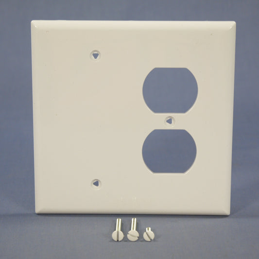 Cooper PJ138W White 2-Gang Duplex Blank Unbreakable Mid-Size Wallplate Box Mount