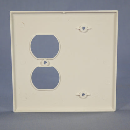 Cooper PJ138W White 2-Gang Duplex Blank Unbreakable Mid-Size Wallplate Box Mount