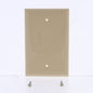 Cooper PJ13V Ivory Antimicrobial Unbreakable Mid-Size 1-Gang Blank Nylon Cover
