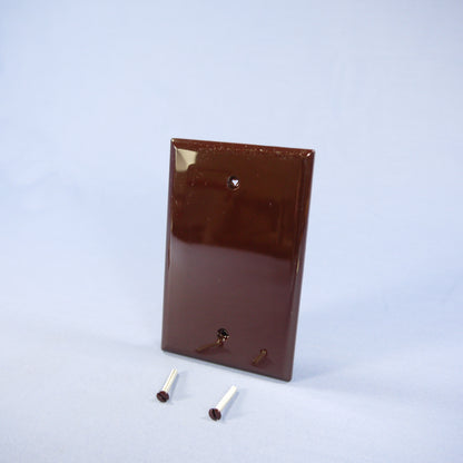 Cooper PJ13B Brown 1-Gang Blank Unbreakable Midsize Wallplate Box Mount 2pcs