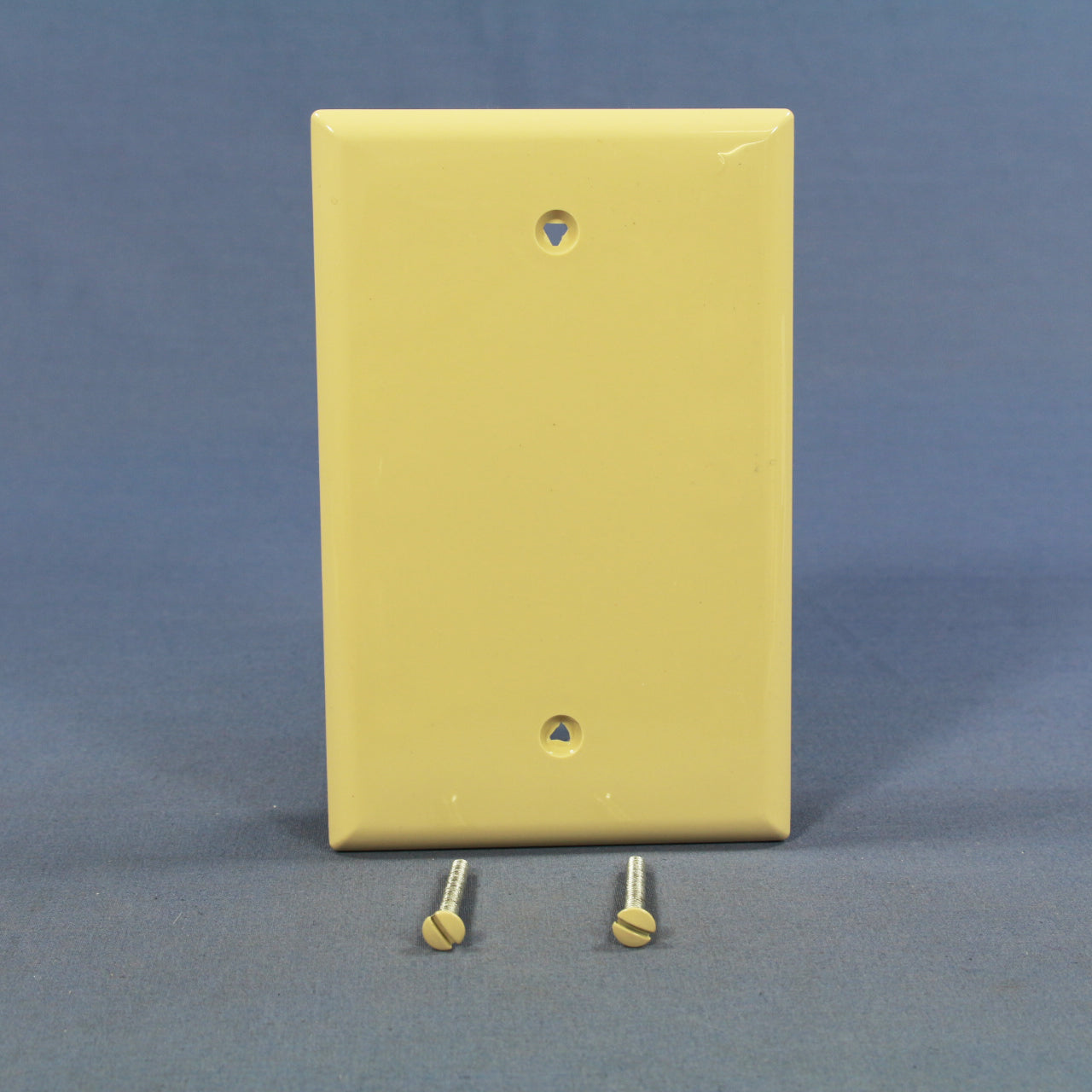 Cooper PJ13V Ivory 1-Gang Unbreakable Mid-Size Blank Nylon Wallplate Covers 2pcs
