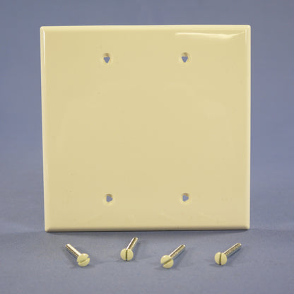 Cooper PJ23A Almond 2-Gang Blank Unbreakable Midsize Wallplate Cover Box Mount