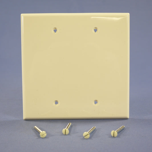 Cooper PJ23A Almond 2-Gang Blank Unbreakable Midsize Wallplate Cover Box Mount