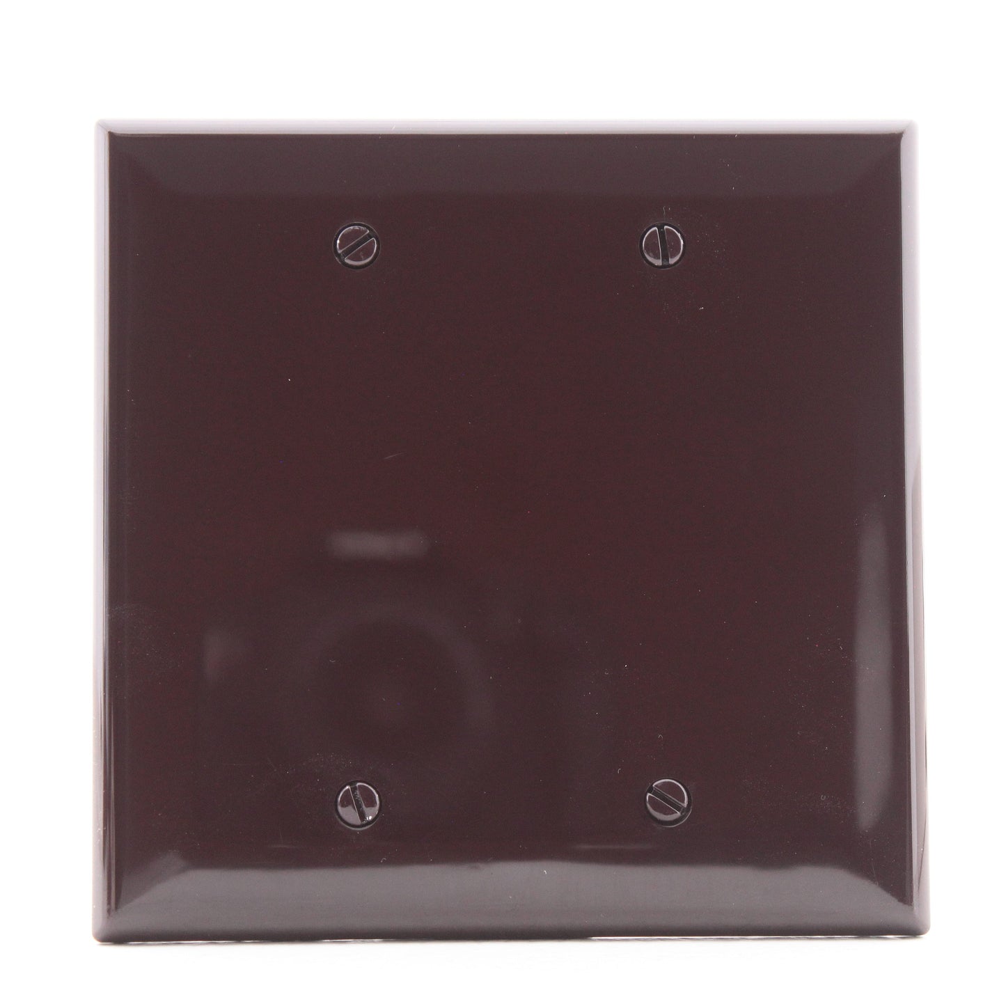 Cooper PJ23B Brown 2-Gang Mid-Size Unbreakable Blank Wallplate Nylon Cover