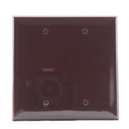 Cooper PJ23B Brown 2-Gang Mid-Size Unbreakable Blank Wallplate Nylon Cover