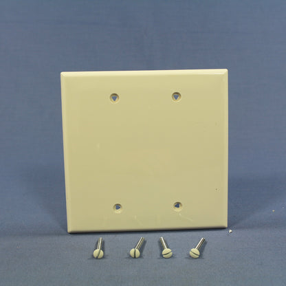 Cooper PJ23LA Light Almond 2-Gang Blank Unbreakable Mid-Size Wallplate Box Mount