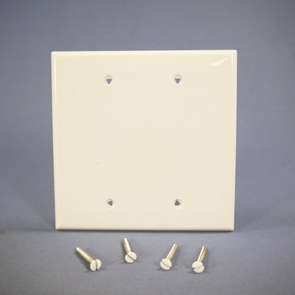 Cooper PJ23W White MidSize 2Gang Blank Nylon Unbreakable Wallplate Covers 2-Pack