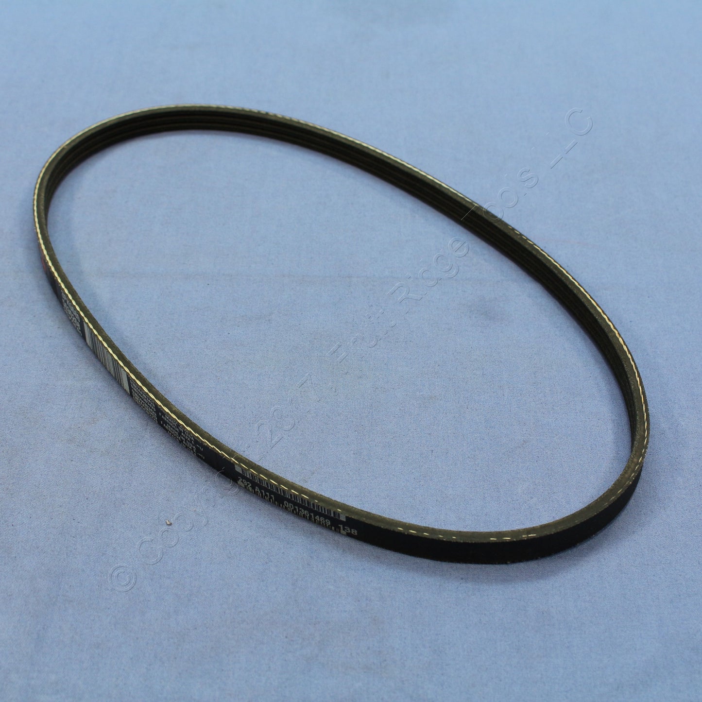 Dayco Automotive Water Pump Belt 5030268 3PK0680 For 95-00 Contour 03-08 Tiburon