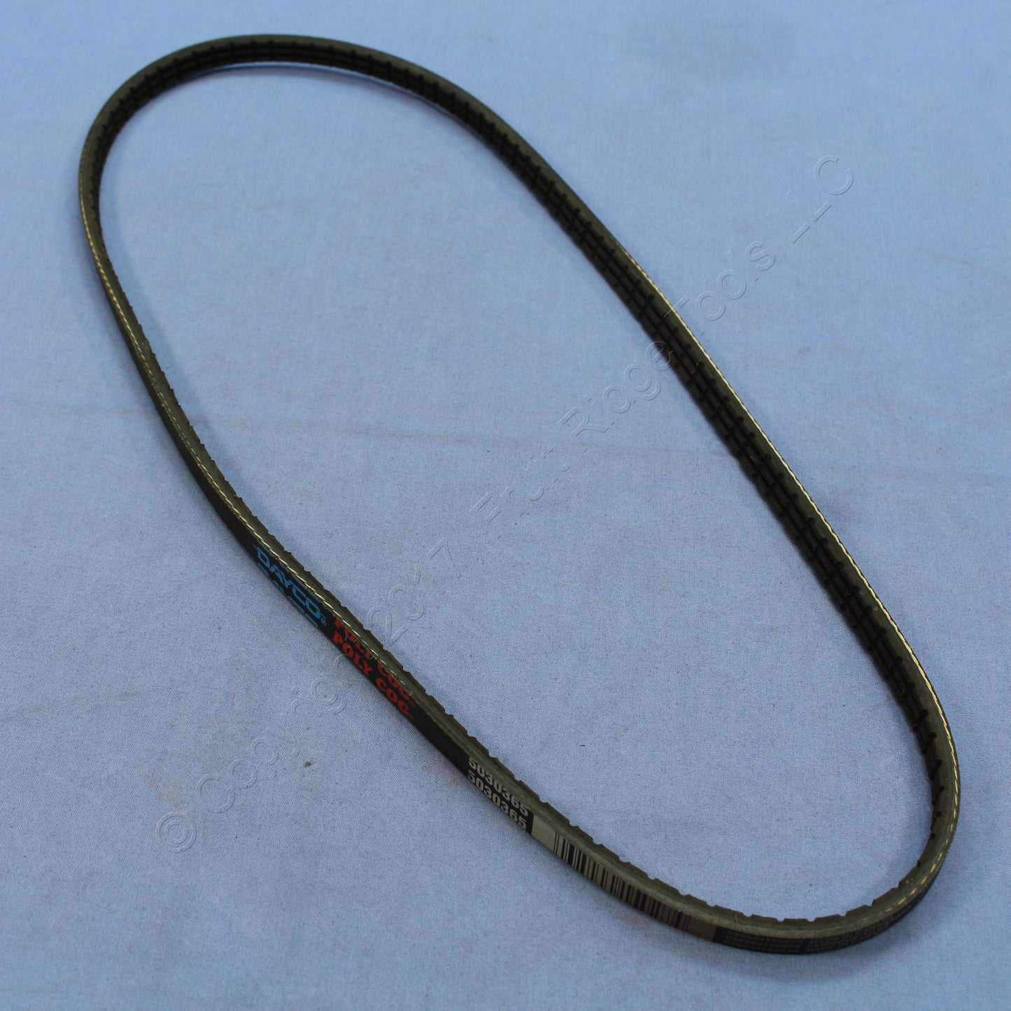 Dayco 5030365 Serpentine Drive Belt for 1993-1997 J30 1997-2001 Q45 90-96 300ZX