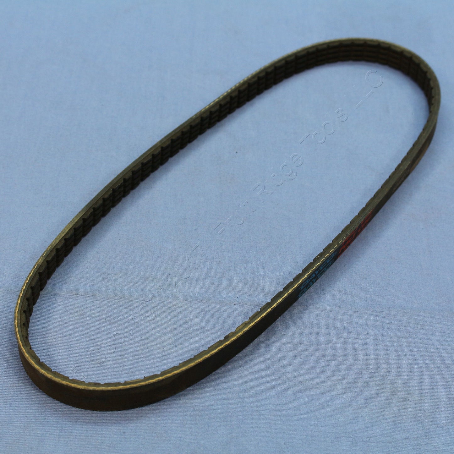 Dayco 5040275 Serpentine Drive Belt for for 1995-98 Tl 82-88 Exp 87-89 Pulsar Nx