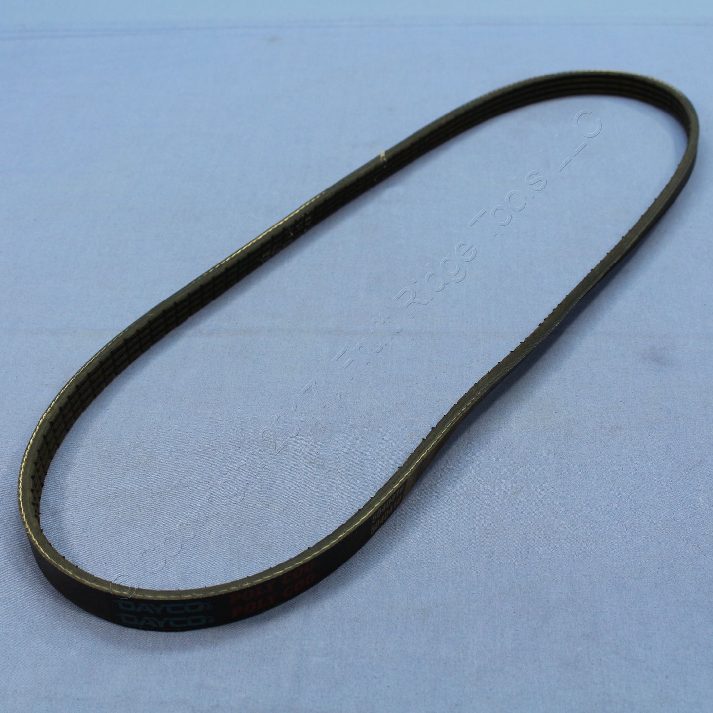 Dayco 5040410 4PK1010 Serpentine Drive Belt for 1998-02 Camaro 2005-13 Corvette