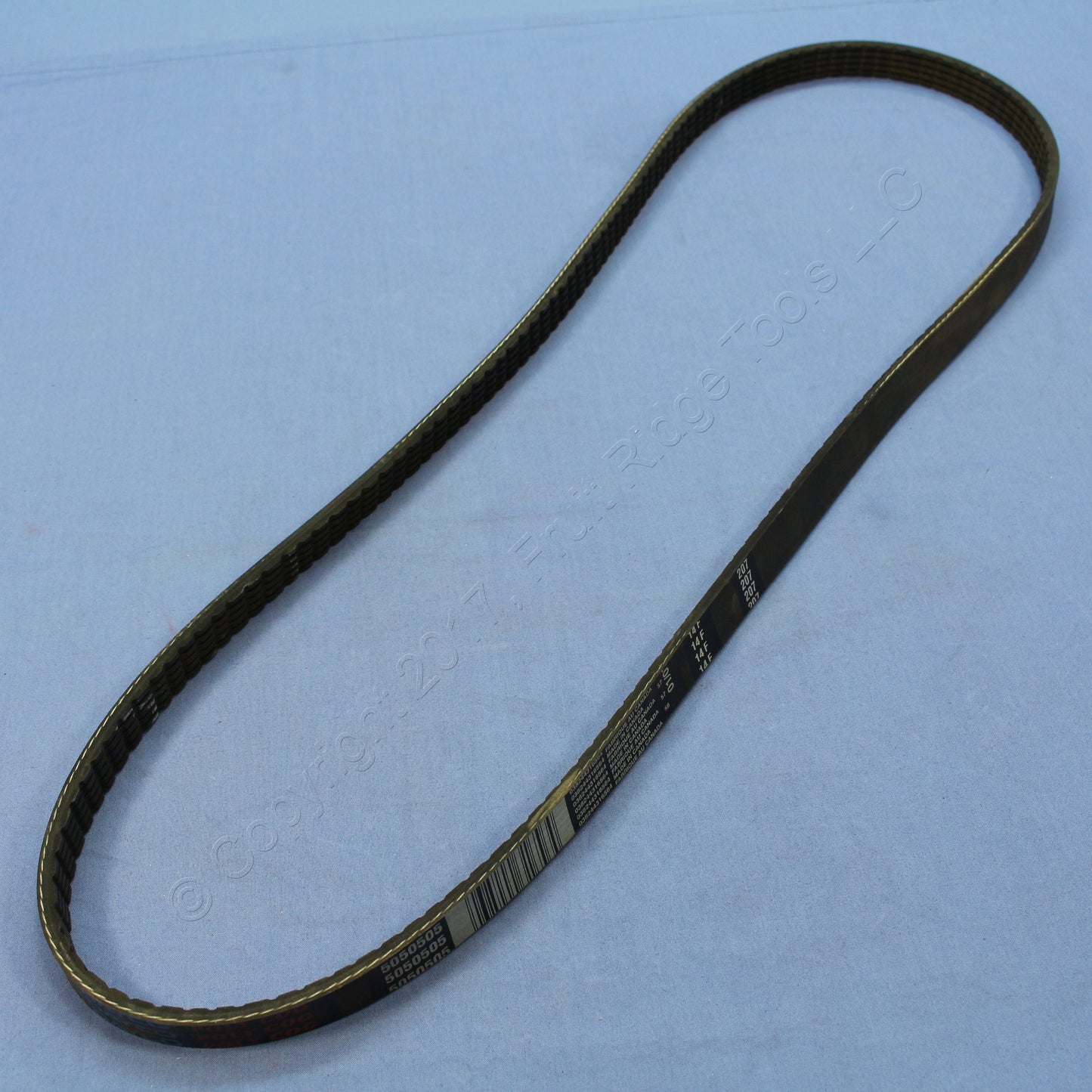 Dayco 5050505 Serpentine Drive Belt for 2004-09 XLR 1997-00 QX4 96-00 Pathfinder