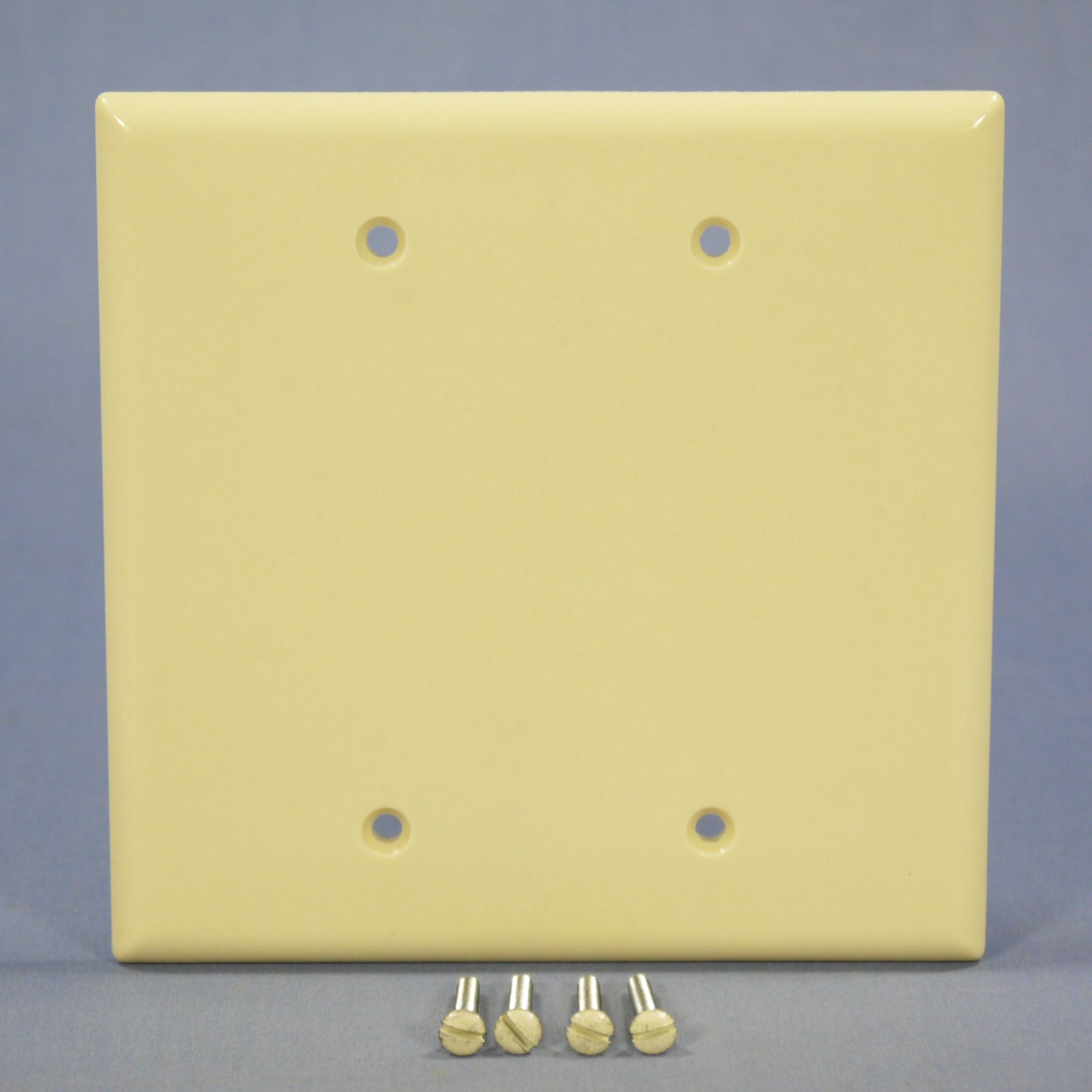 Eagle 2037V Ivory 2-Gang Blank Mid-Size Thermoset Wallplate Cover Box Mount