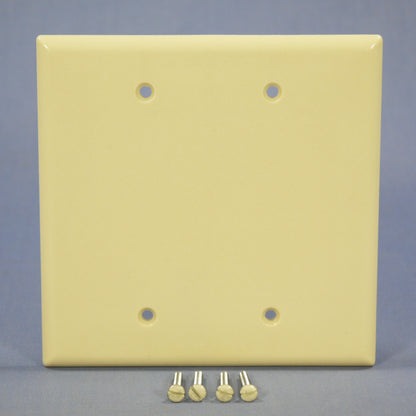 Eagle 2037V Ivory 2-Gang Blank Mid-Size Thermoset Wallplate Cover Box Mount