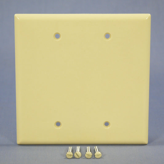 Eagle 2037V Ivory 2-Gang Blank Mid-Size Thermoset Wallplate Cover Box Mount