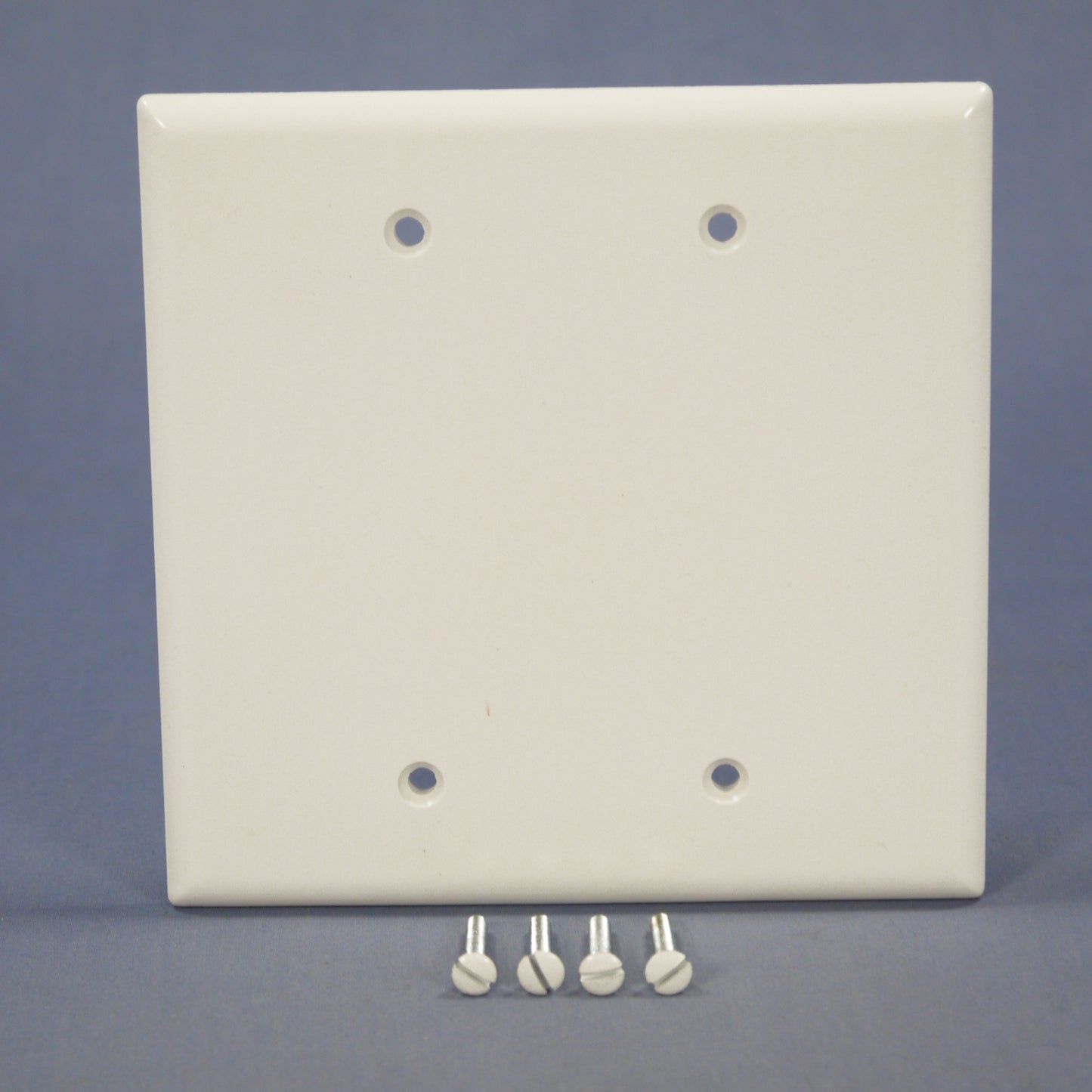 Eagle 2037W White 2-Gang Blank Plastic Mid-Size Wallplate Cover Plate Box Mount