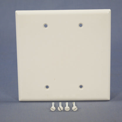 Eagle 2037W White 2-Gang Blank Plastic Mid-Size Wallplate Cover Plate Box Mount