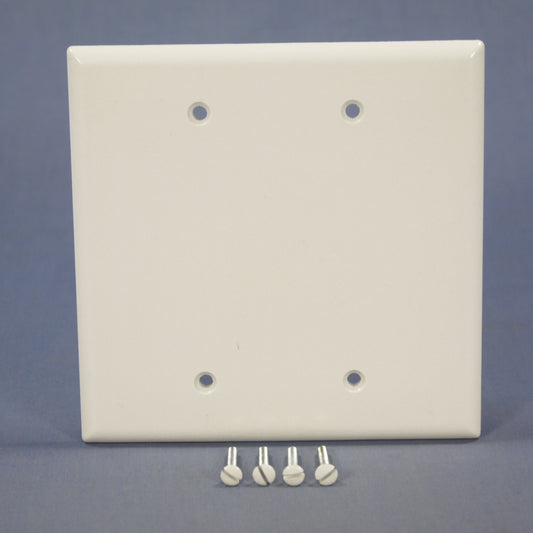 Eagle 2037W White 2-Gang Blank Plastic Mid-Size Wallplate Cover Plate Box Mount