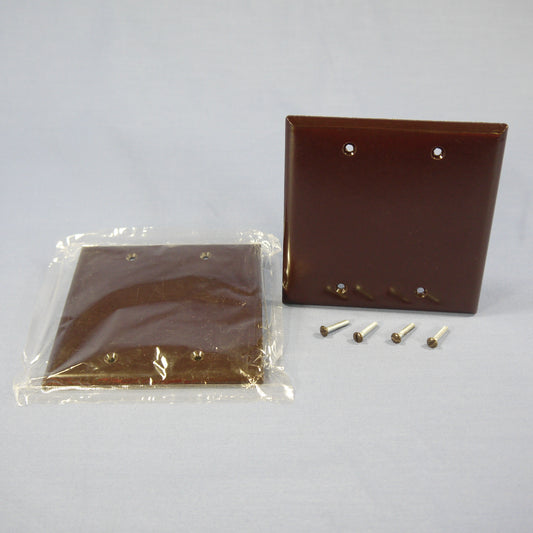 Eagle 2137B Brown 2-Gang Plastic Blank Standard Wallplate Cover Box Mount 2-pack