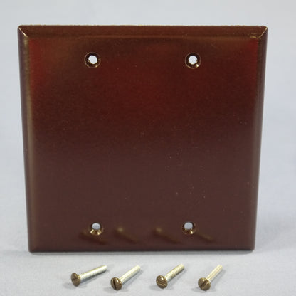 Eagle 2137B Brown 2-Gang Plastic Blank Standard Wallplate Cover Box Mount 2-pack
